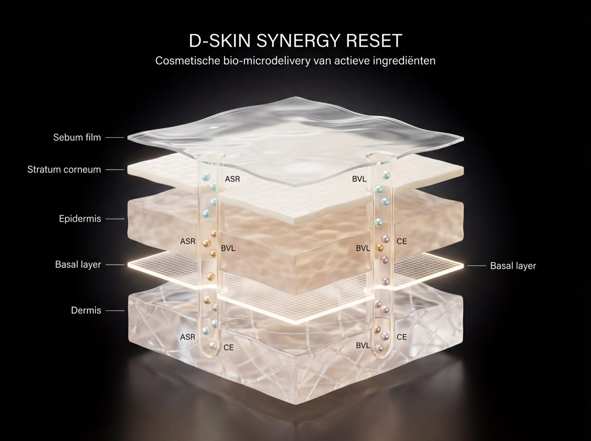 3D visualisation of active delivery through skin layers